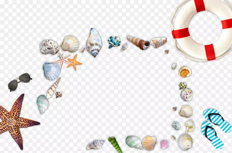 海贝壳海滩蜗牛-海滩元素