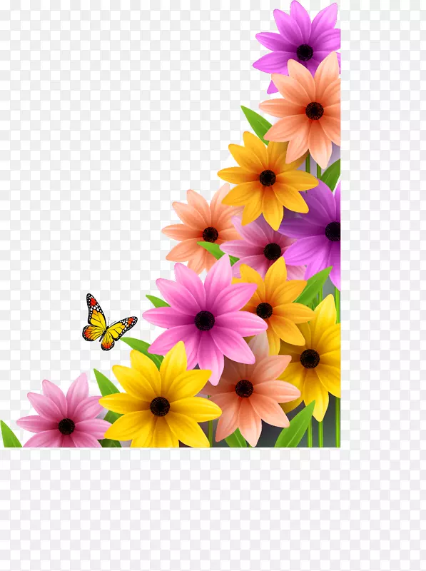花卉海报-花卉边框材料