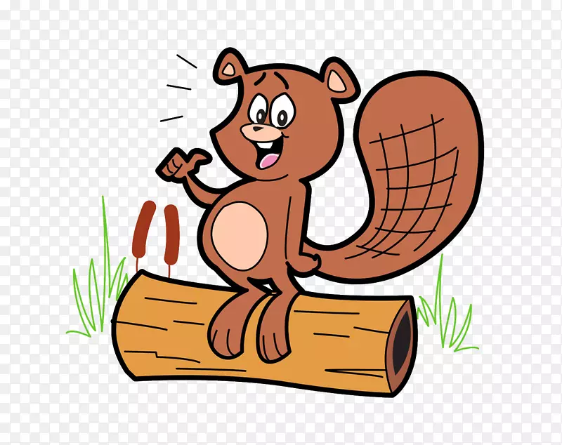 海狸版税-免卡通插图-骄傲的小松鼠