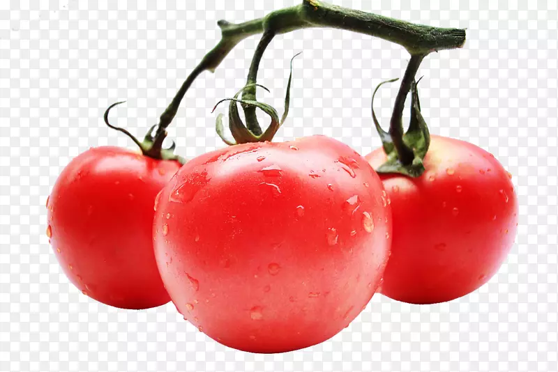番茄汁蔬菜罐头番茄提取物-番茄夹