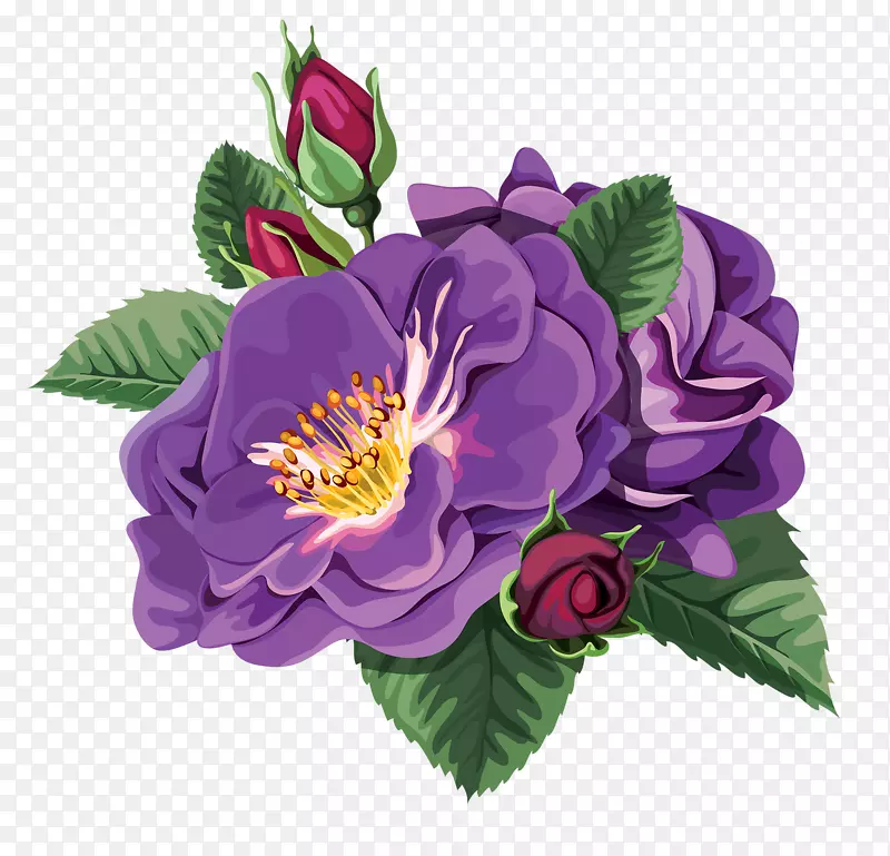 紫罗兰花剪贴画-紫玫瑰
