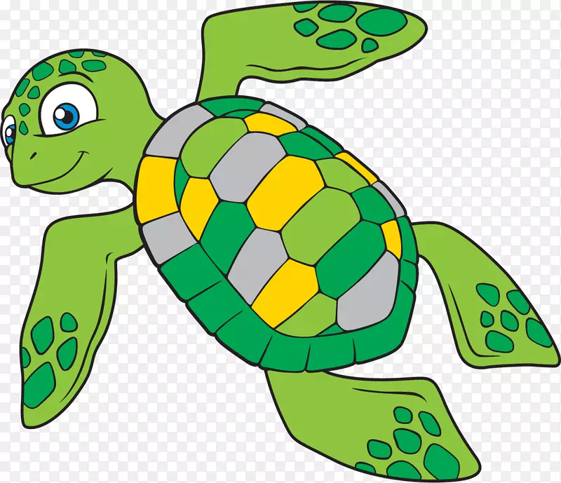 海龟剪贴画.手绘海龟