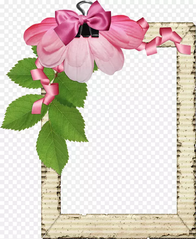 粉红色花边框