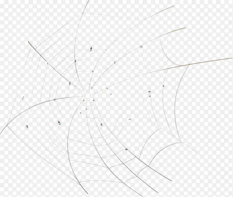 白色对称黑色图案手绘蜘蛛网