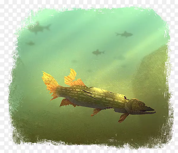 插画平面设计摄影插图.手绘边缘效应海鱼背景图案