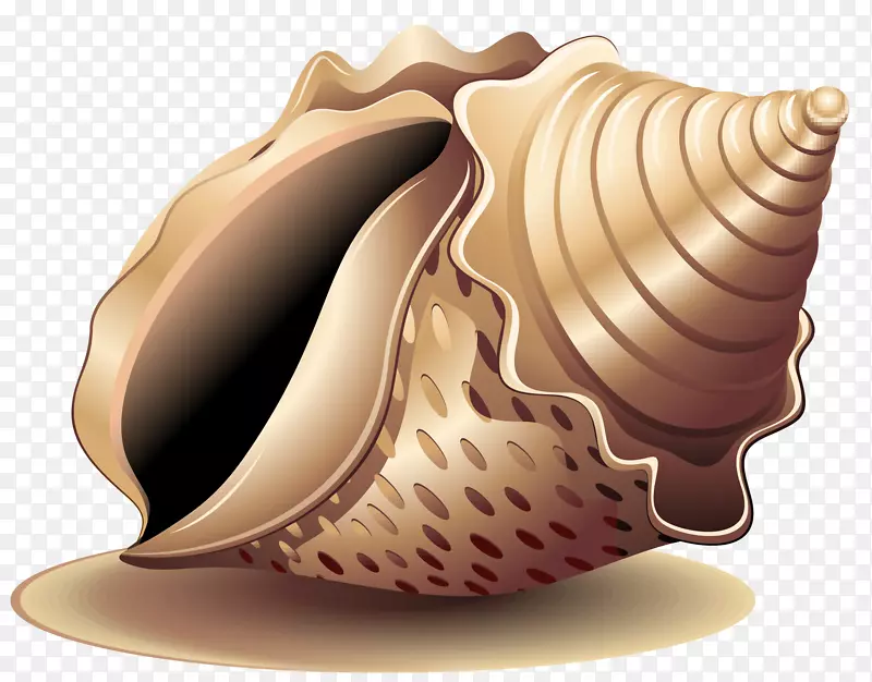 海蜗牛海螺喷漆海螺