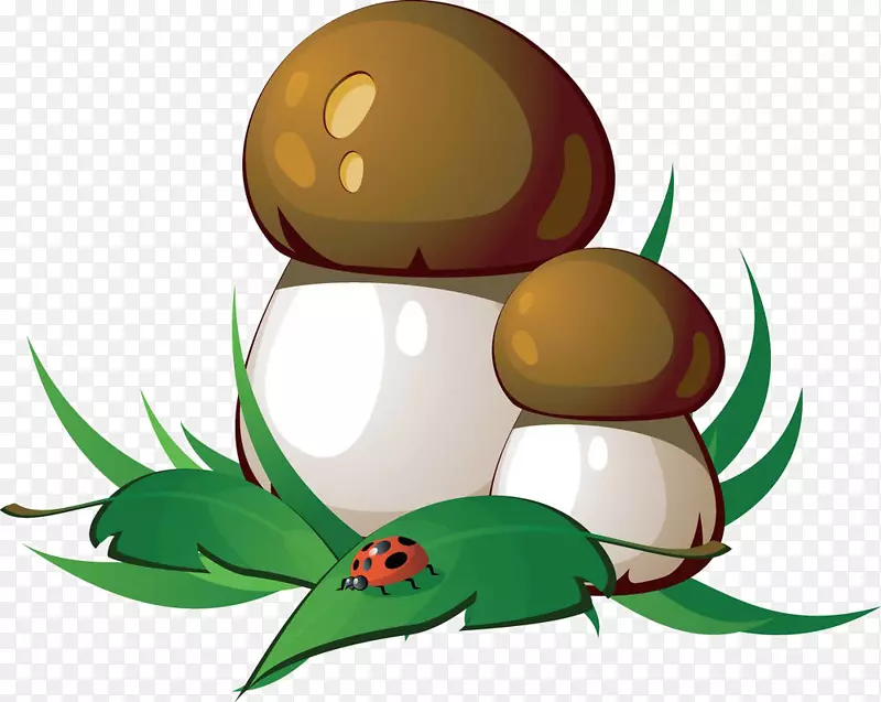 真菌摄影土坯插图.卡通蘑菇材料