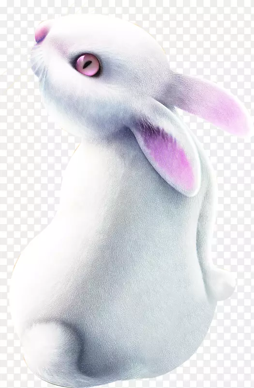 国内兔子复活节兔画白兔海报