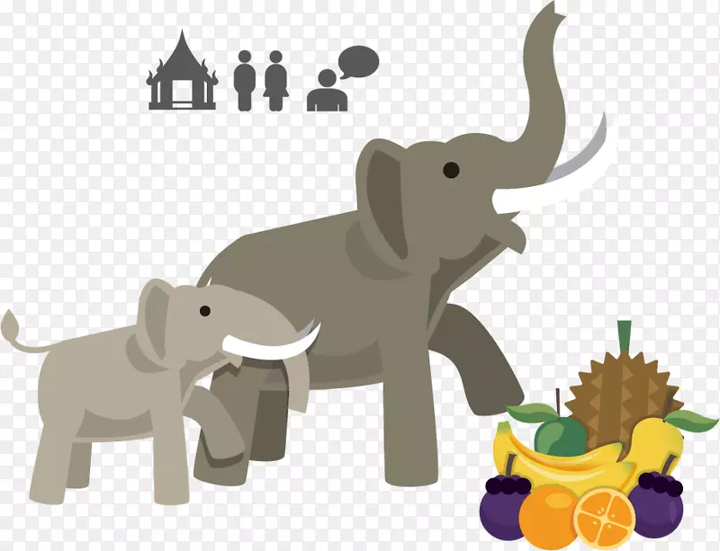 泰国的大象非洲象印度象载体物质水果PNG