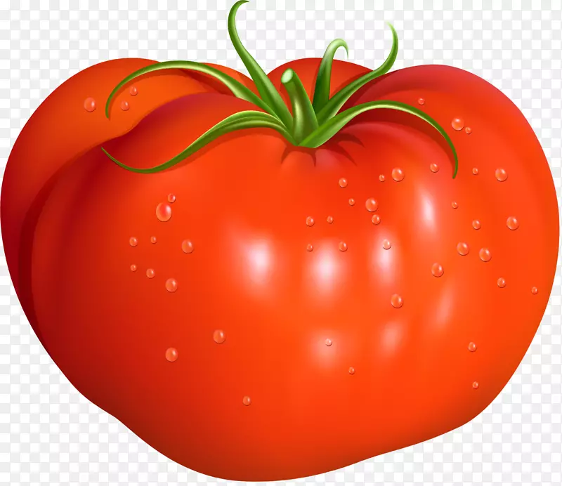 番茄红色插图-红色简洁番茄