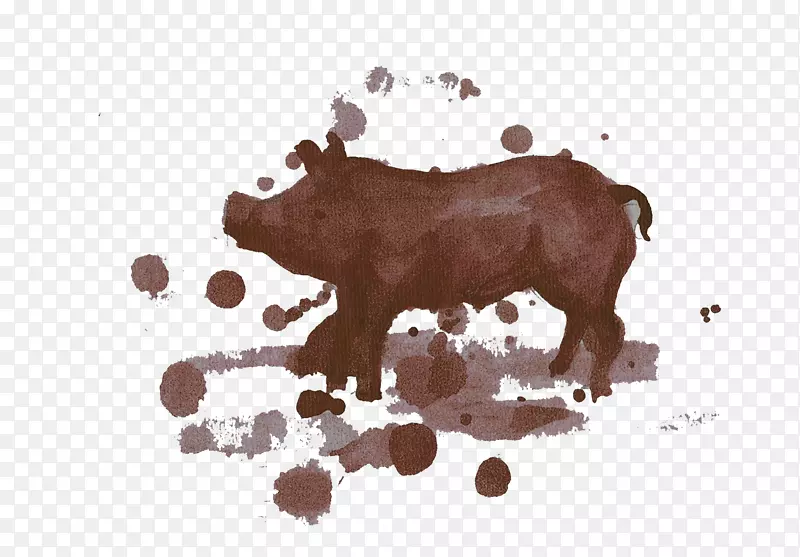 家猪下载-水彩画仔猪