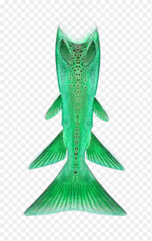 美人鱼尾巴绿色-创意美丽的绿色美人鱼尾巴