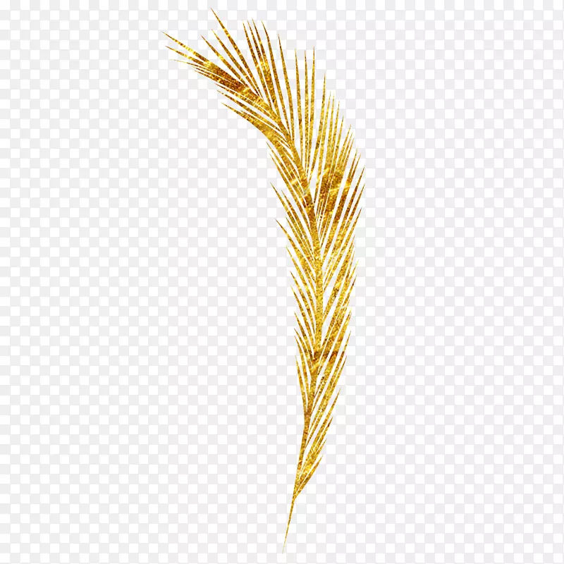 Emmer-小麦
