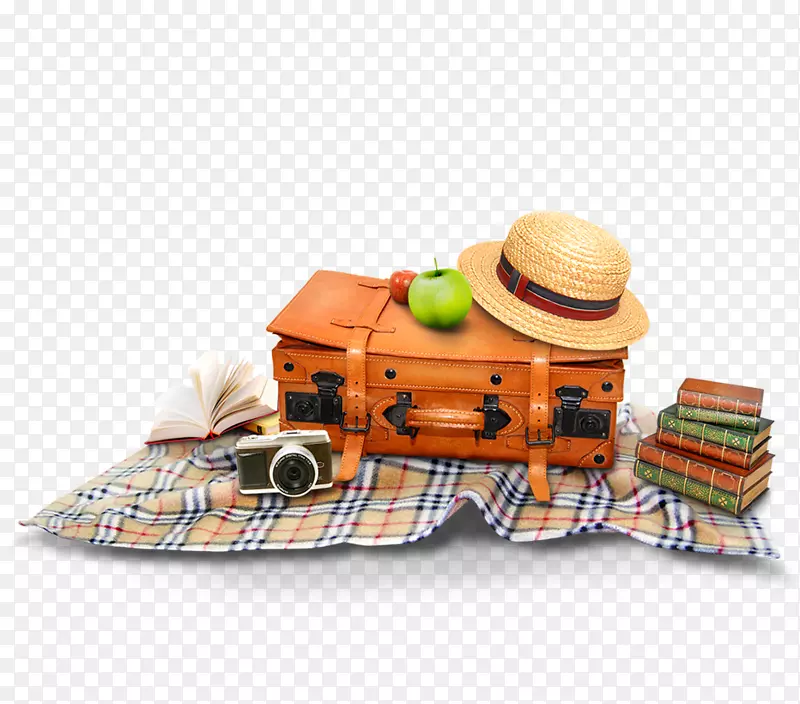 图标棕色野餐行李装饰图案