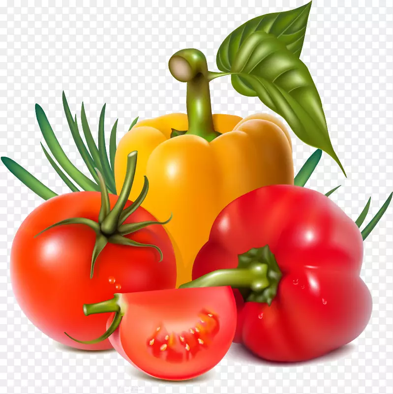 蔬菜番茄剪贴画-番茄和胡椒