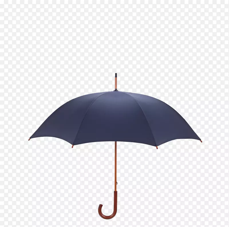 伞模型-黑色伞