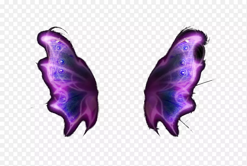 紫色下载谷歌图片-浮动彩色紫色翅膀