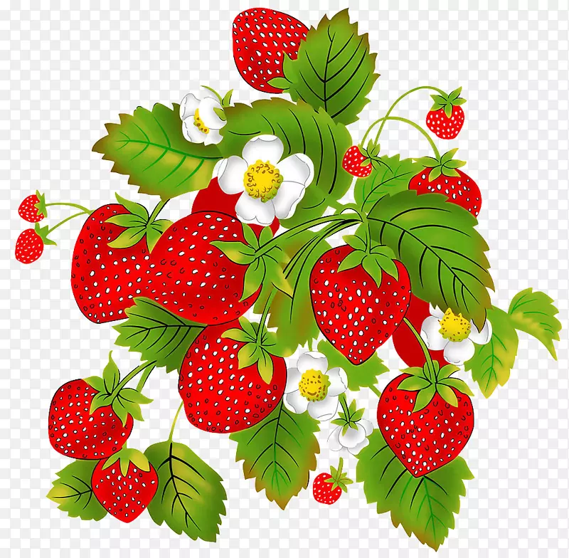 草莓Aedmaasikas儿童奥格里斯覆盆子-草莓