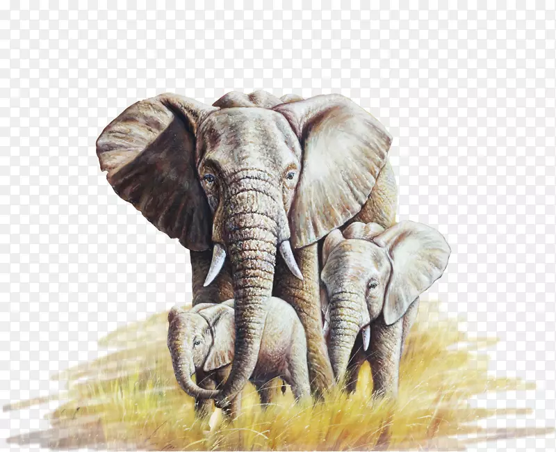 非洲象油画画布-油画象
