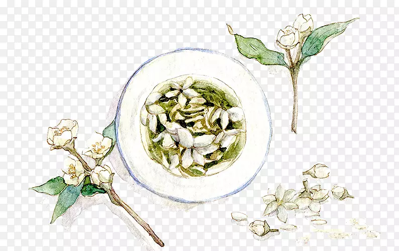 阿拉伯茉莉花茶-茉莉花茶
