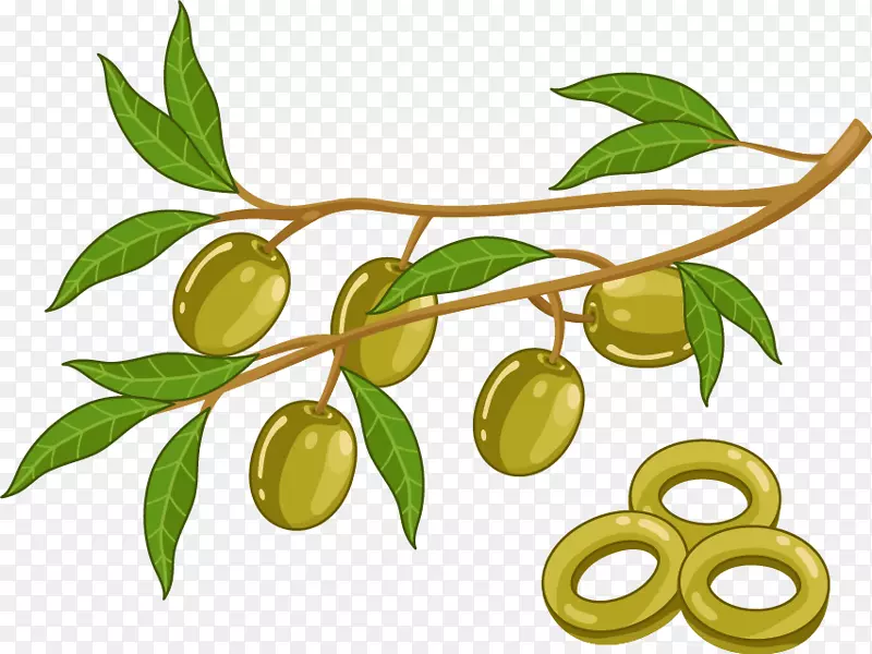 Rutabaga-卡通载体植物橄榄油