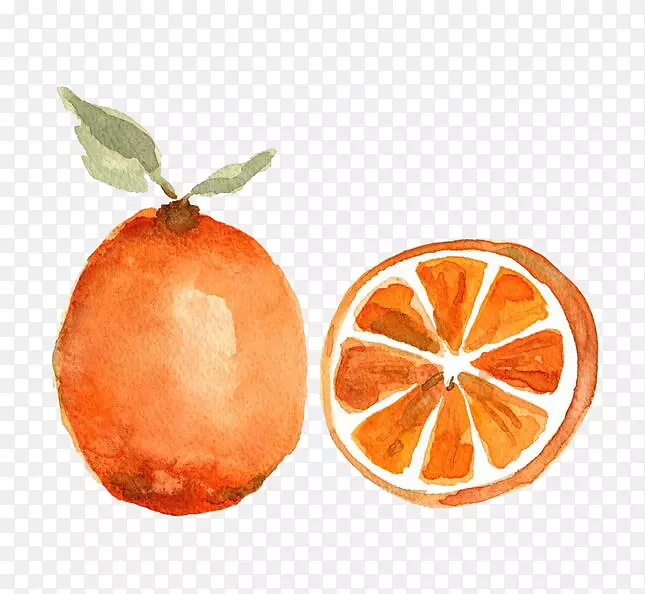 水彩画橙色水果版画-橙色