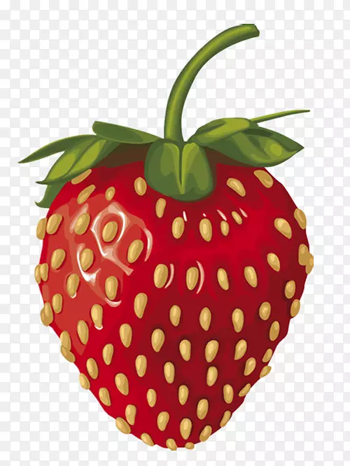 野生草莓amorodo插图-一个大草莓
