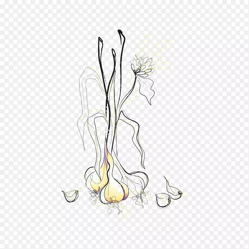水彩：花卉水彩画.手绘水彩大蒜