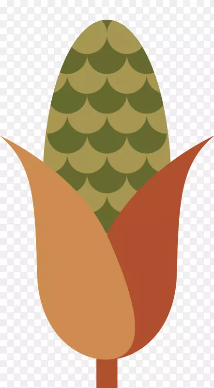下载google图片玉米图片