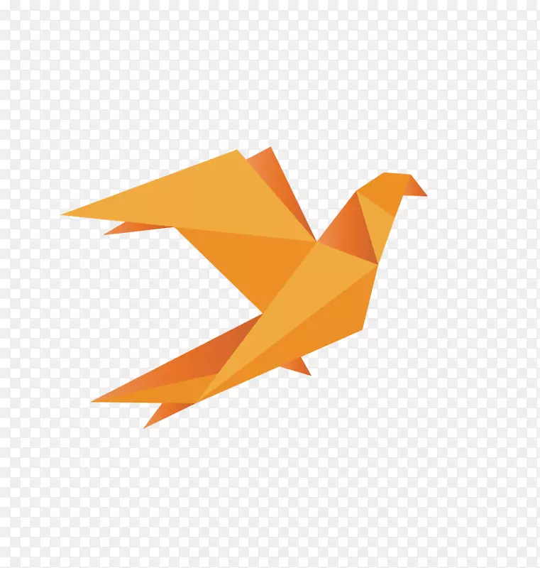 纸鸟橙鸽