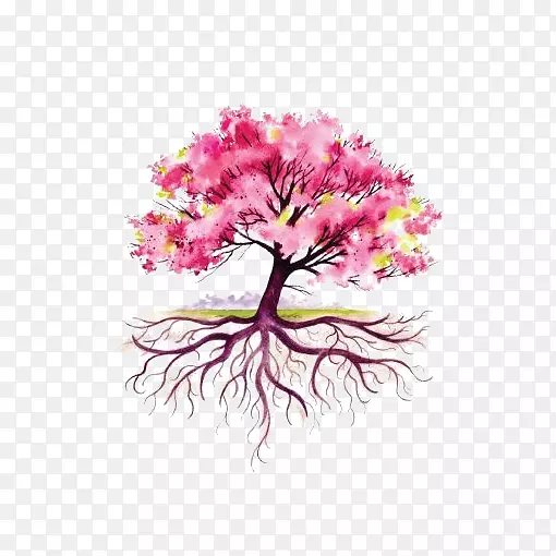 树根图.粉红色水彩树