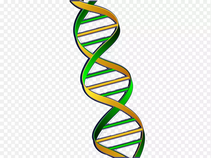 dna核酸双螺旋基因绿链基因