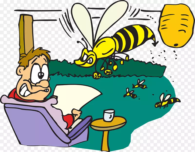 常见黄蜂的黄蜂特征及蜜蜂对蜜蜂攻击的恐惧