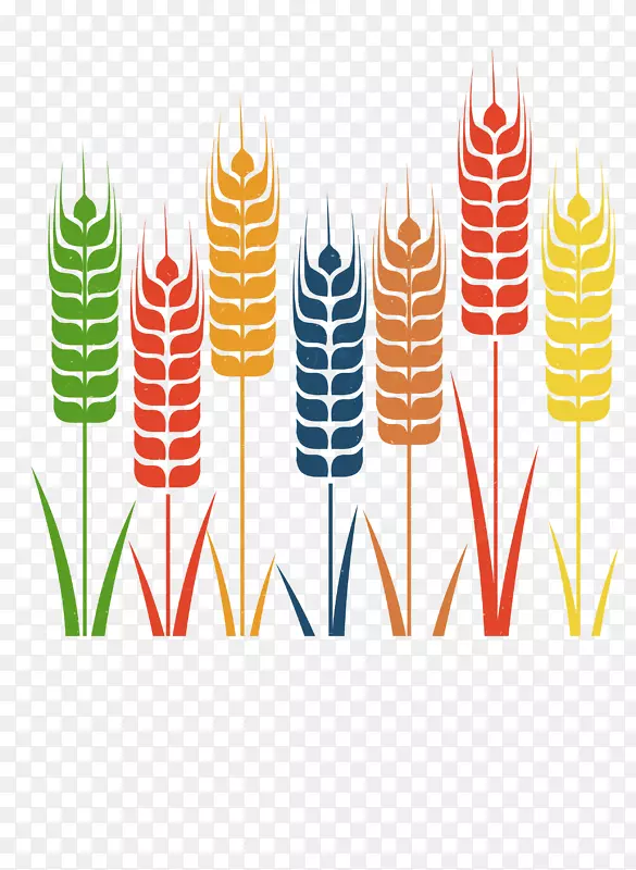 平面设计插画图标-彩色小麦