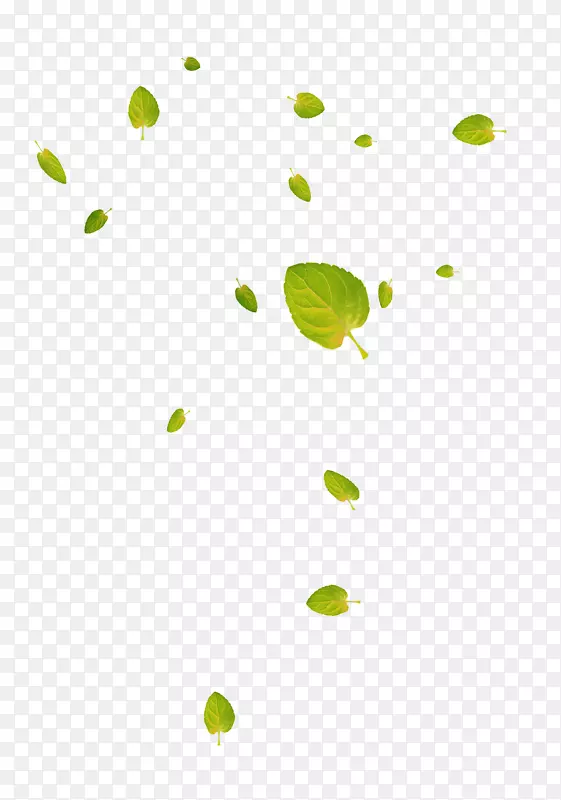 叶谷歌图片落叶下载-绿色和新鲜的叶子漂浮材料