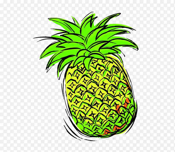 菠萝奥格里斯-画菠萝的创意形象