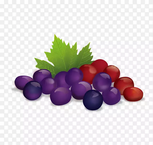 果汁水果插图-葡萄