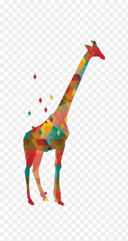 北方长颈鹿图形设计插图.彩色几何长颈鹿