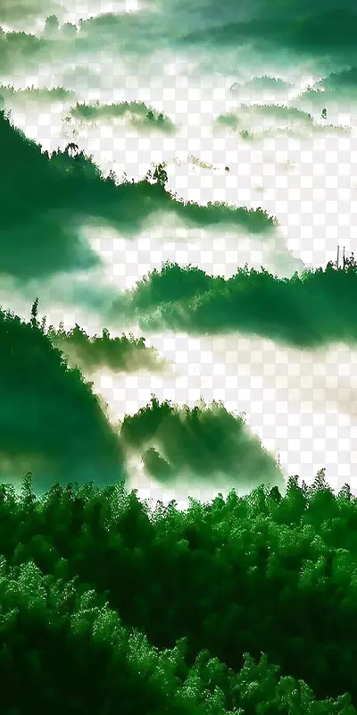 绿色艺术-绿色森林