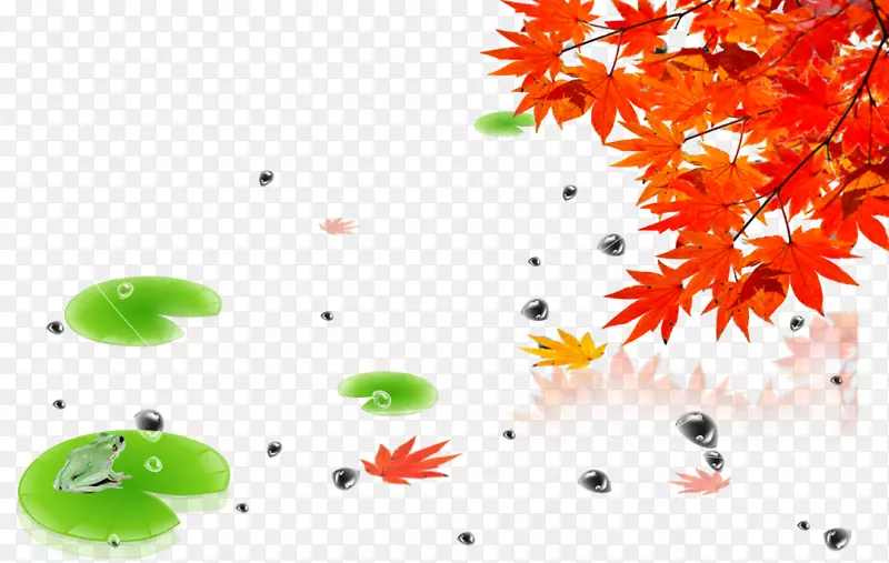 秋季海报-枫叶