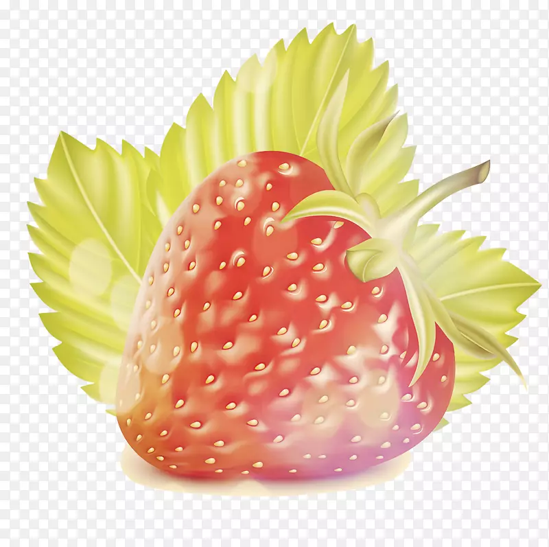草莓水果天然食品蔬菜着色书-草莓