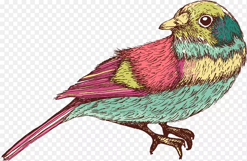 鸟独角兽-绿色手绘小鸟