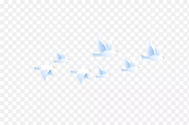 三角形天空图案-白鸽