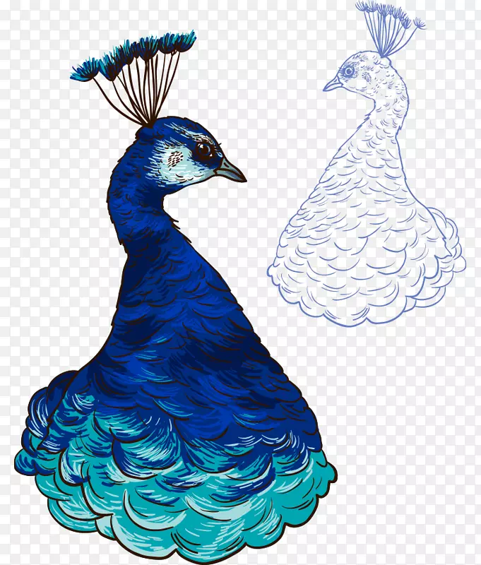 孔雀纸插图.手绘艺术品美丽的蓝色孔雀半身像