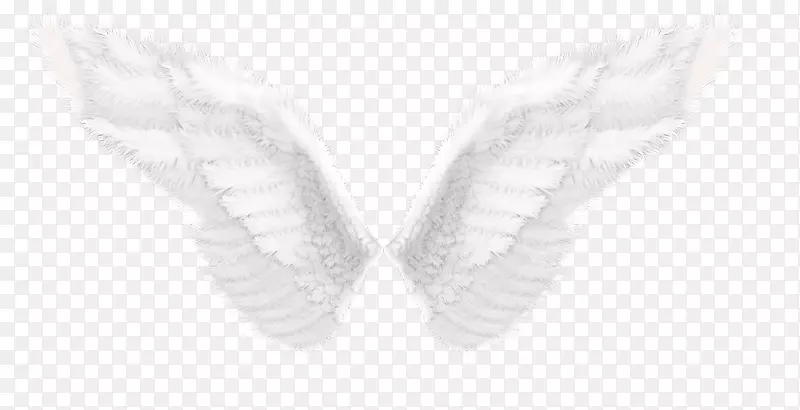 白色手指鞋图案-天使翅膀