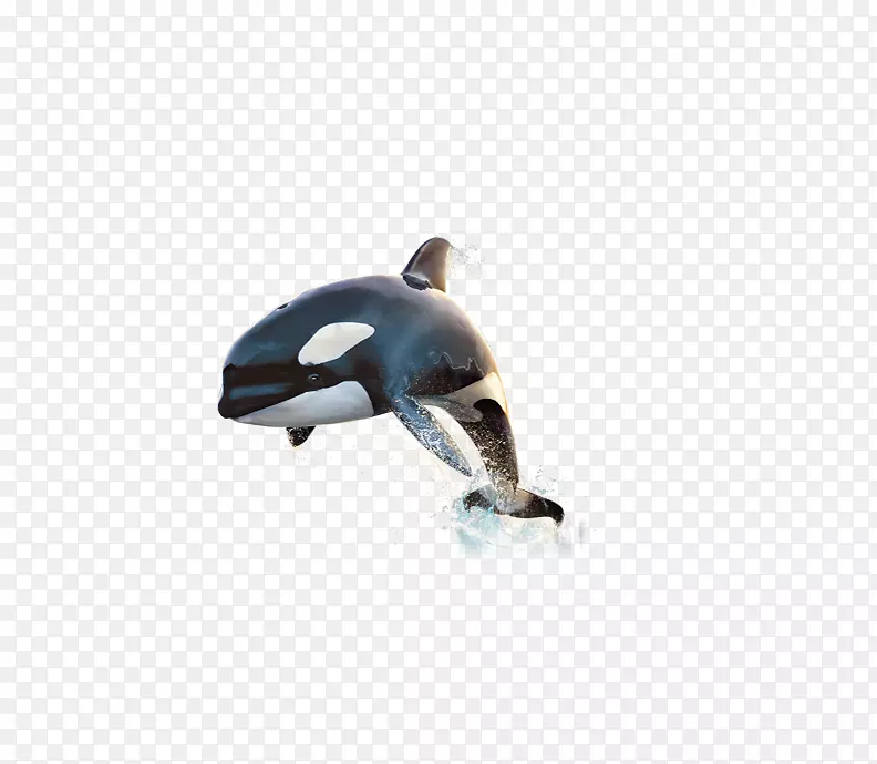 海豚HDBaseT增强多功能盘鲸