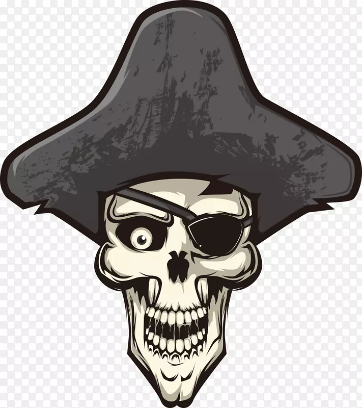 颅骨胼胝体海盗海盗头盖骨