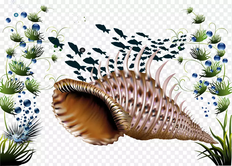 海藻海底下载-神奇的刺海螺载体材料