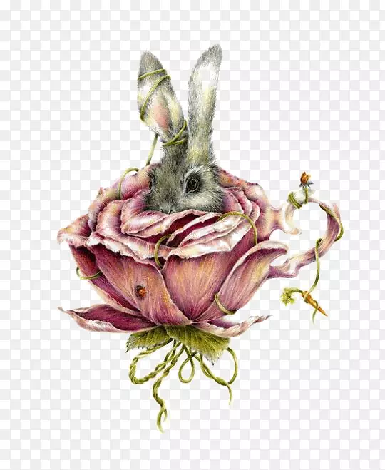 仙境画中的奇遇考特尼边缘艺术家图解-茶杯兔