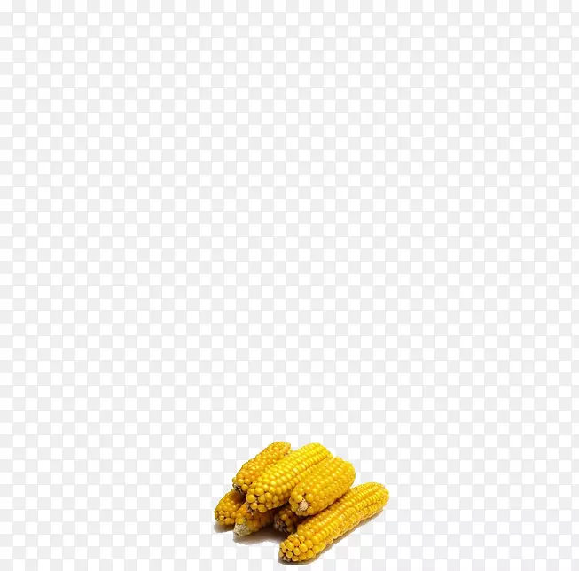 玉米上的玉米黄色图案-玉米